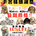 お客様感謝祭７/５から７/１３まで