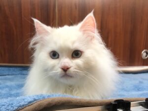 広島駅前店 090301