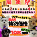 周年祭開催中！