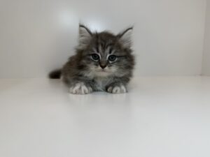 広島駅前店　112705