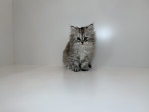 広島駅前店　112706