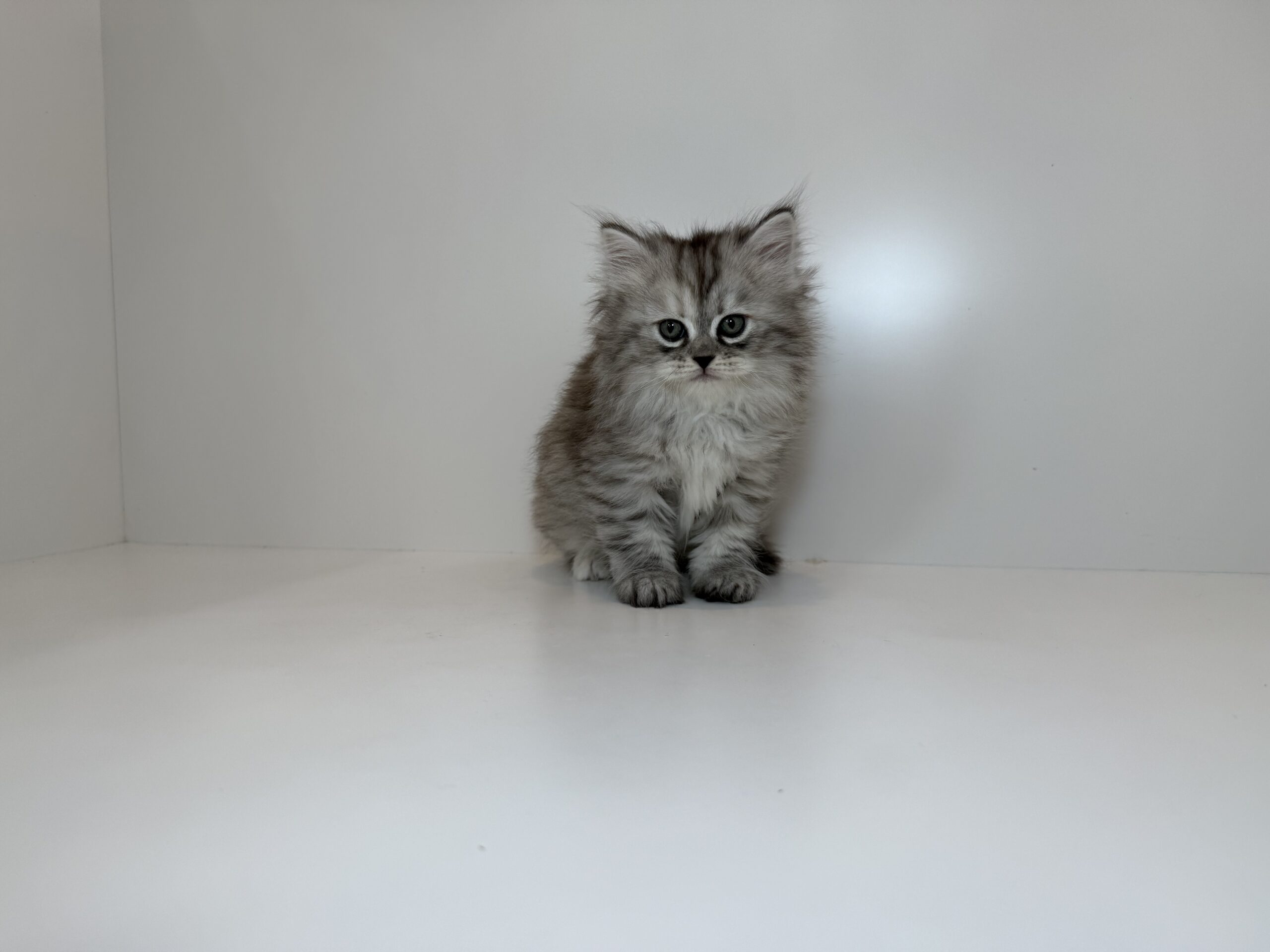 広島駅前店　112706