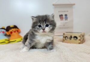 広島駅前店　11501