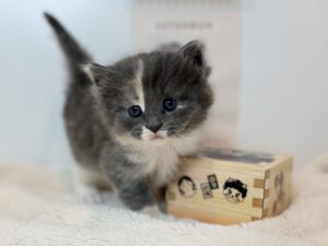 広島駅前店　11502