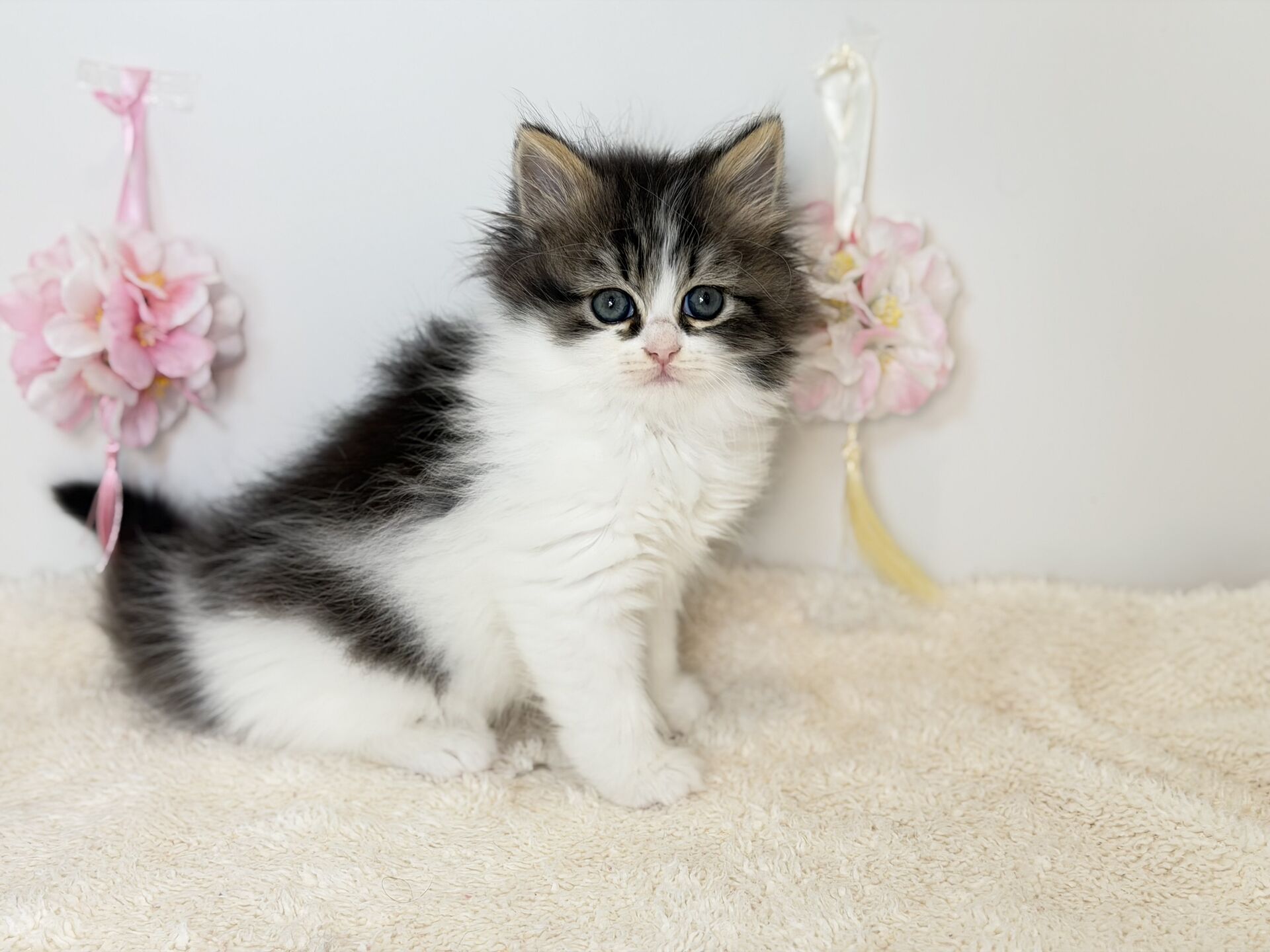 広島駅前店　30402