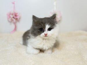 広島駅前店　30403