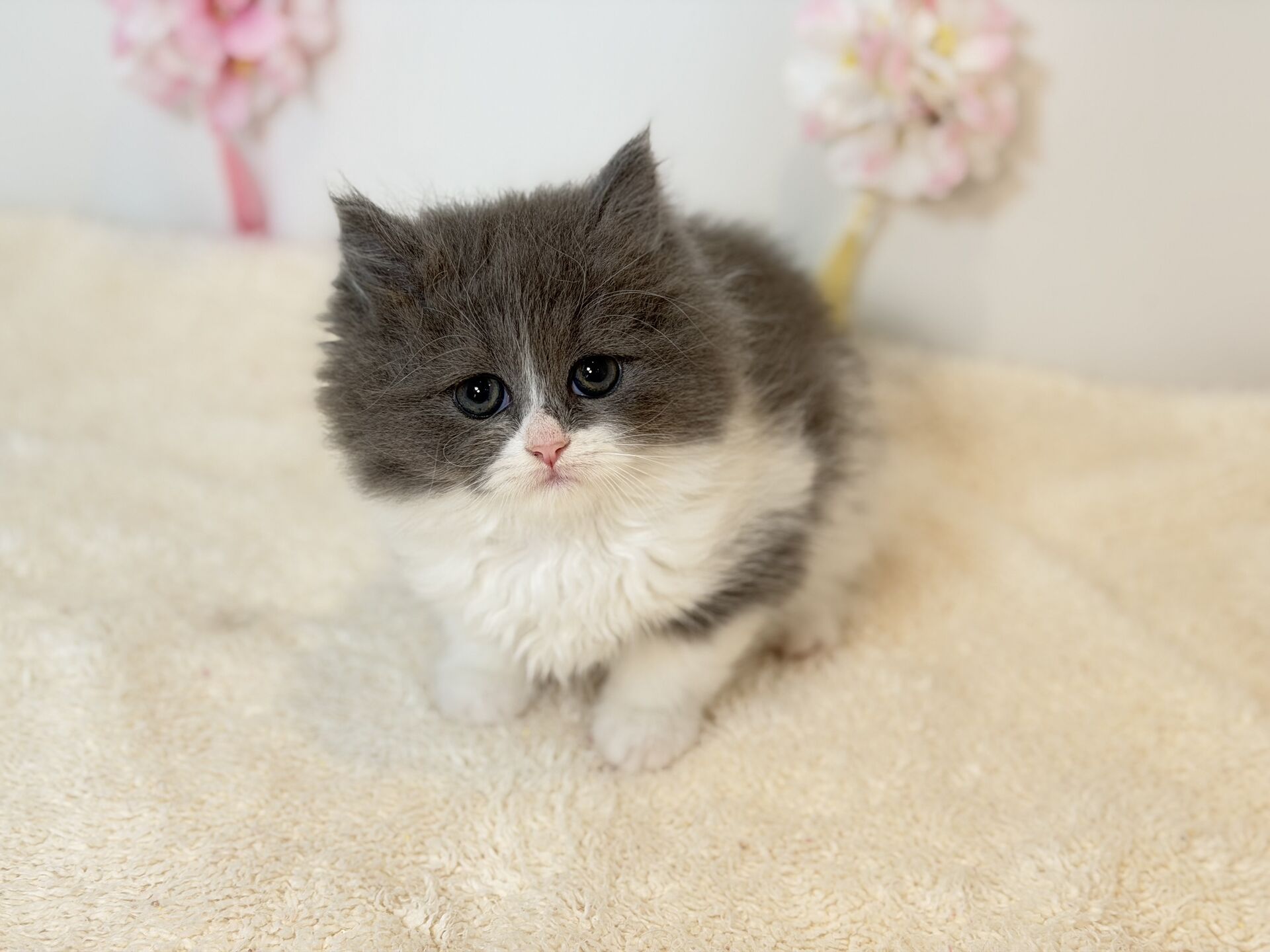 広島駅前店　30401